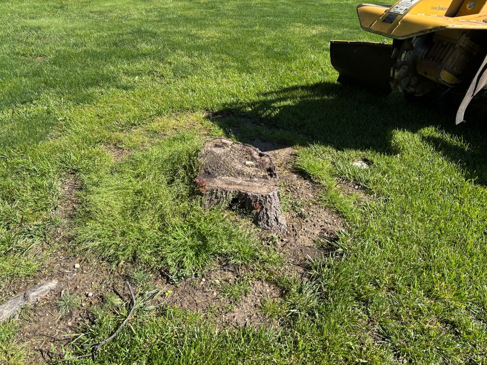 All Photos for Conrad's Stump Removal in Columbus, IN