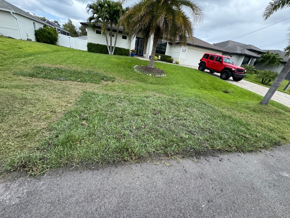 All Photos for BH Lawn and Landscape in Fort Myers, FL
