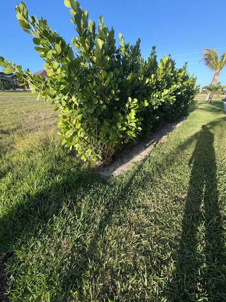 All Photos for R&R GreenWorks in North Port, FL