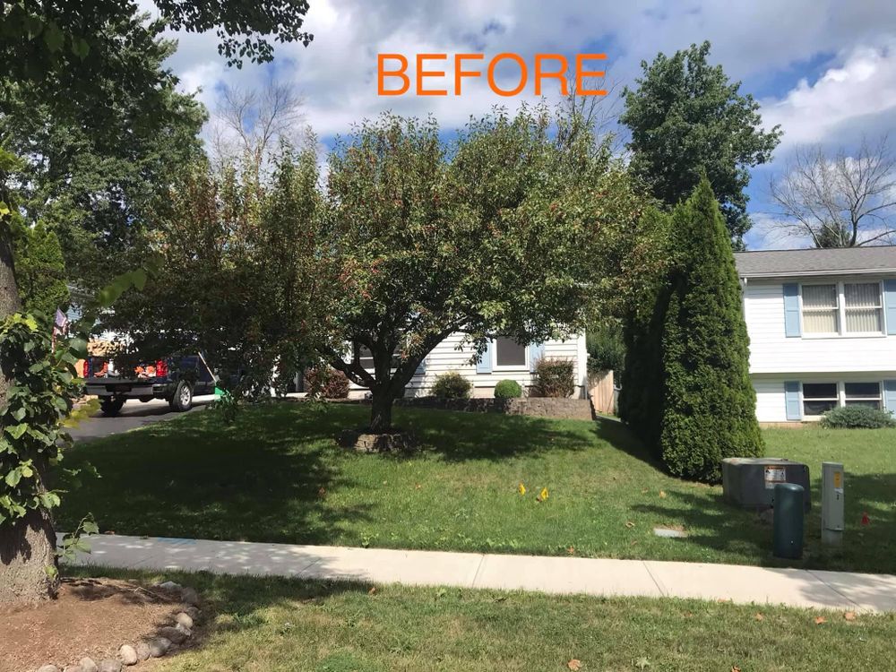 Trimming  for S.H. Tree Service LLC in Hilton, NY