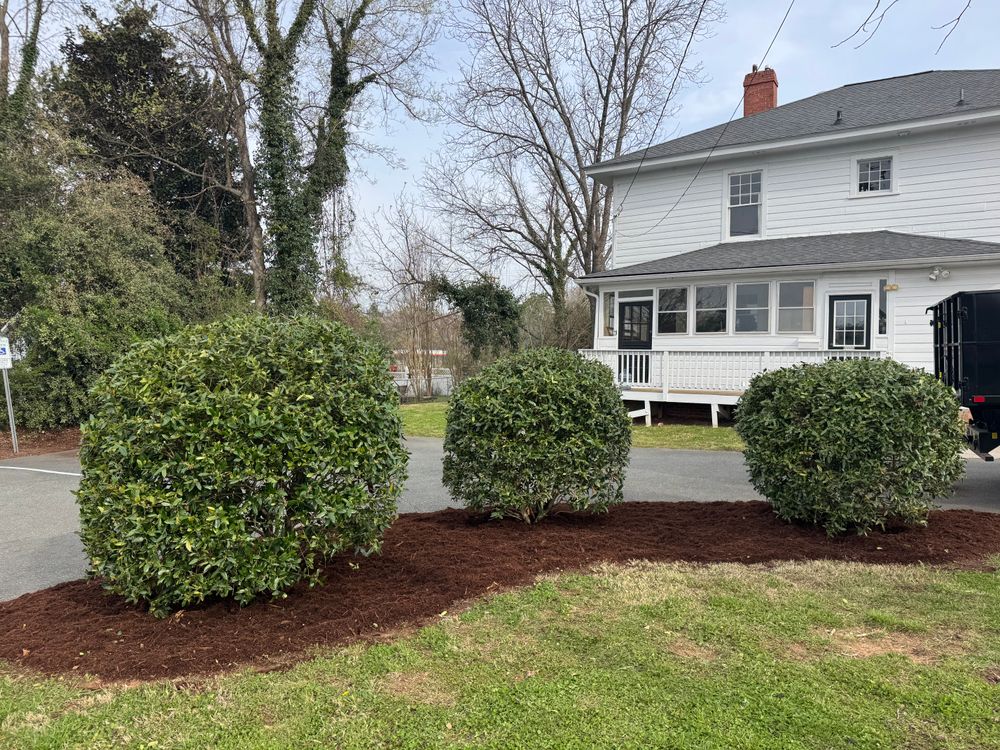 All Photos for Chavez Landscaping in Pittsboro, NC