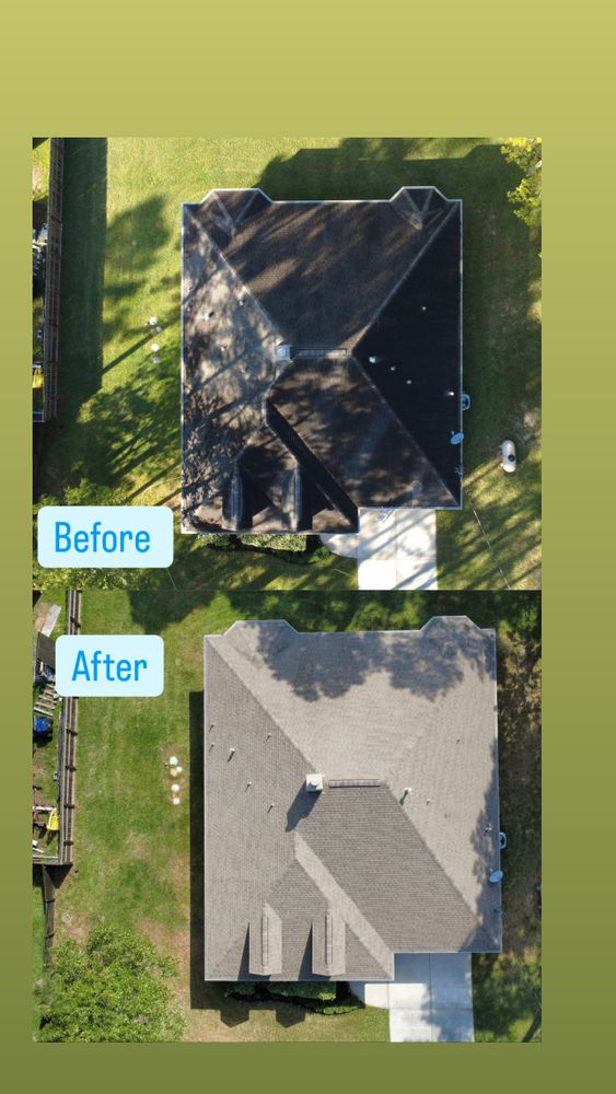 Roof SoftWashing  for Royal wash in The Woodlands, TX