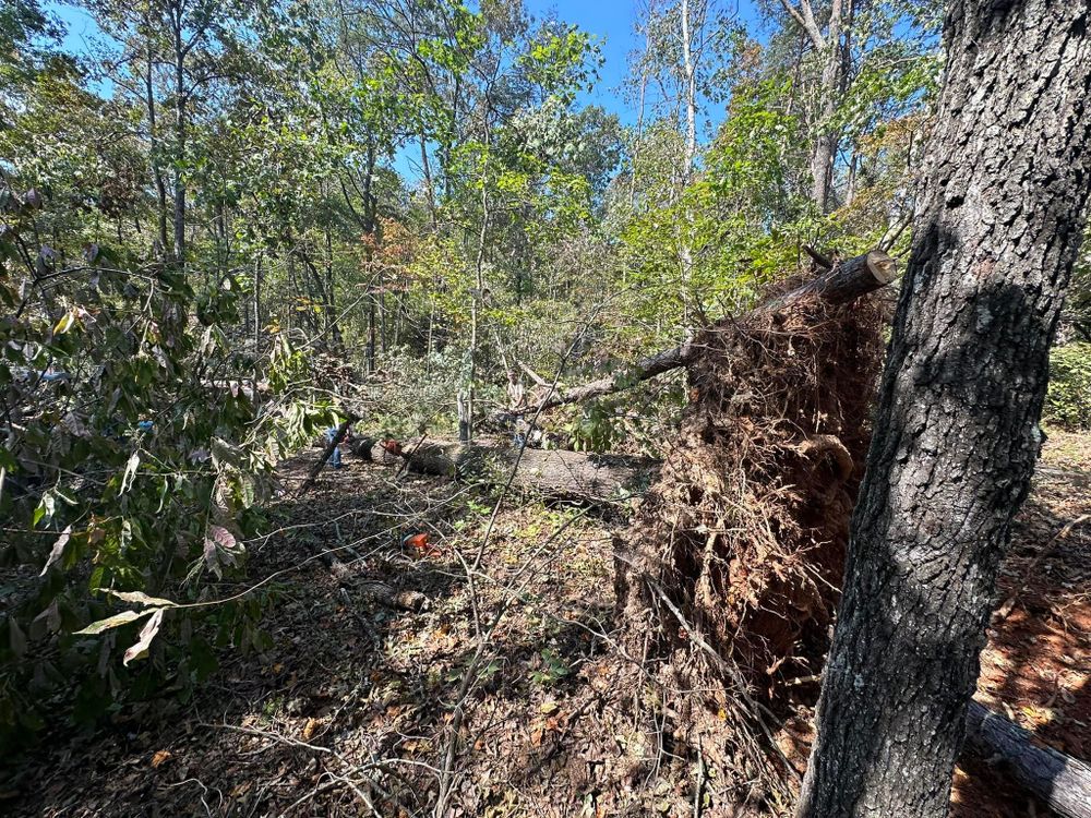 All Photos for The Flip Flop Roofer in Statesville, NC