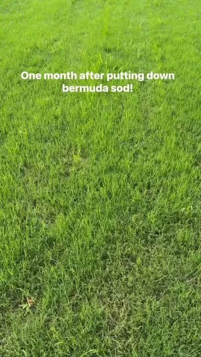 All Photos for Year Round Trees & Concrete Inc. in Fort Worth, TX