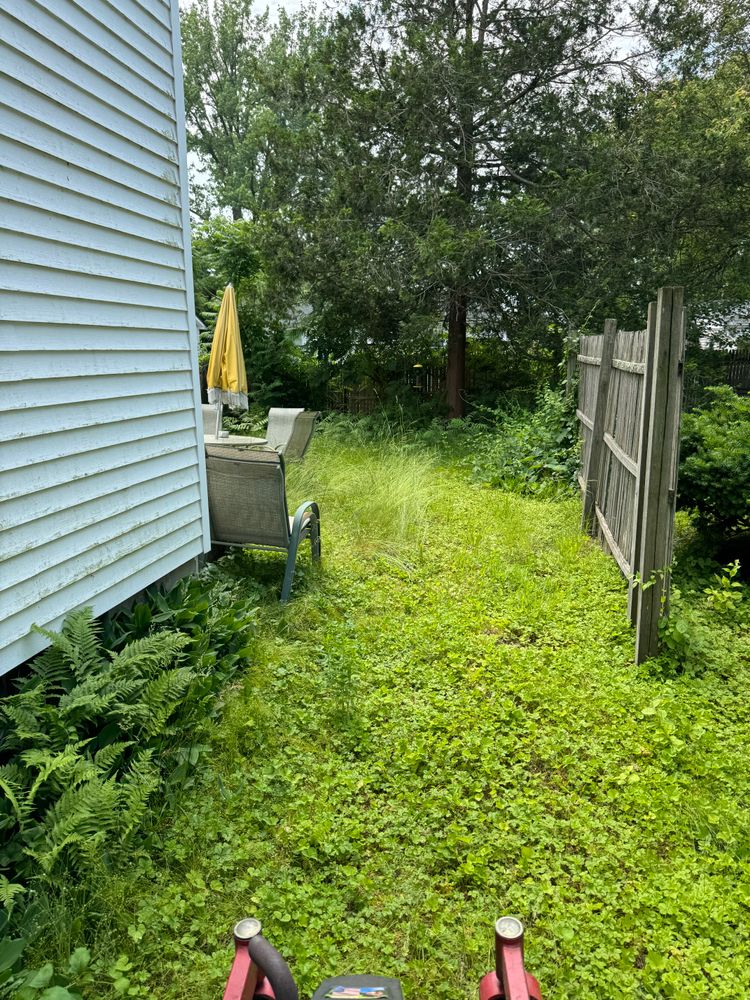 All Photos for Adams Landscaping in Springfield, MA