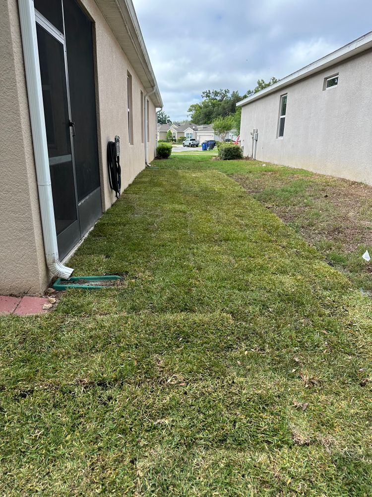 All Photos for Gulf Bay Sod in Clearwater, FL