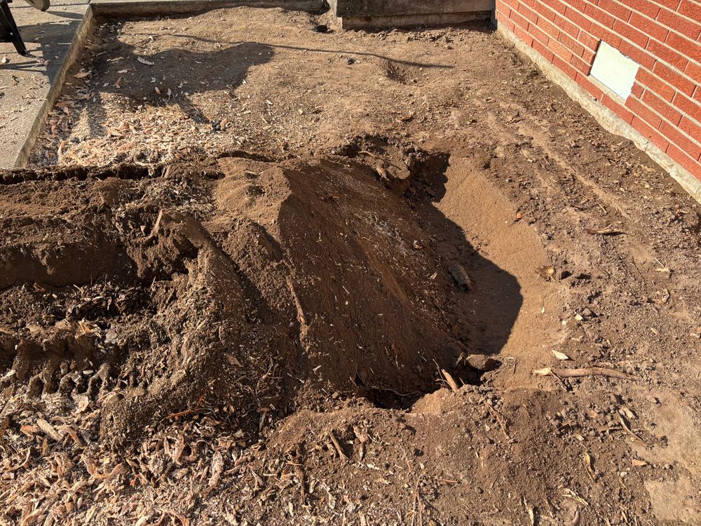All Photos for Conrad's Stump Removal in Columbus, IN