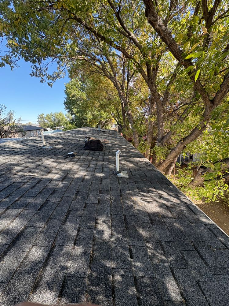 All Photos for Elevated Tree Care in Gillette, WY