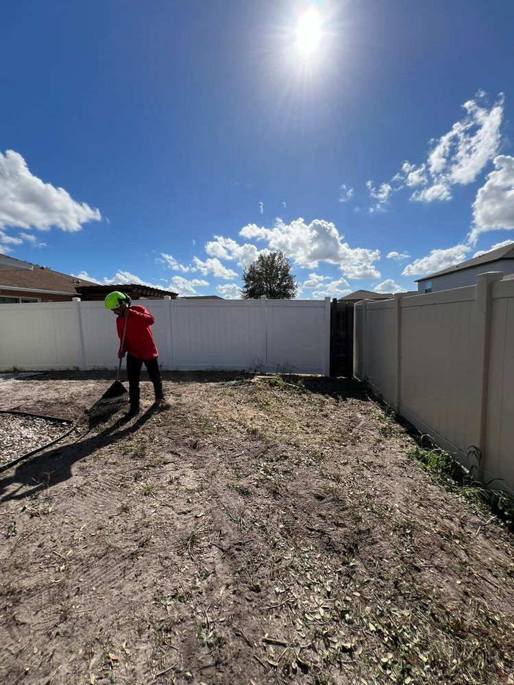 Tree Removal for TREE BOYS in Ruskin, FL