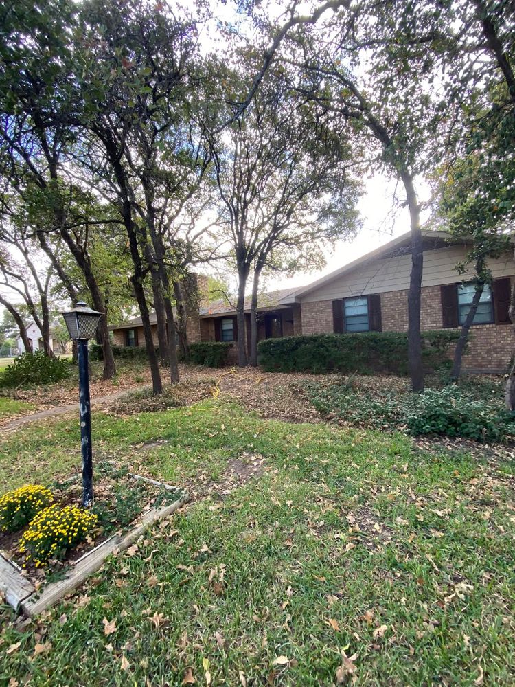 Our shrub trimming service ensures your landscape remains tidy and healthy, enhancing curb appeal and plant vitality. Trust our experts for precision care tailored to maintain the beauty of your shrubs year-round. for Hector’s Tree Services in Nocona, TX