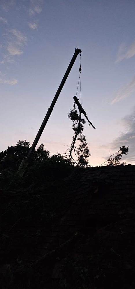 Tree Removal for Reagan & Sons Tree Service in Dandridge, TN