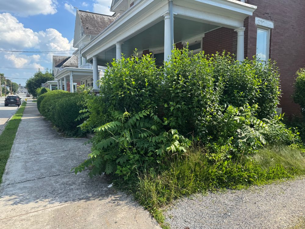 All Photos for Dunn-Rite Landscaping in New Oxford, PA