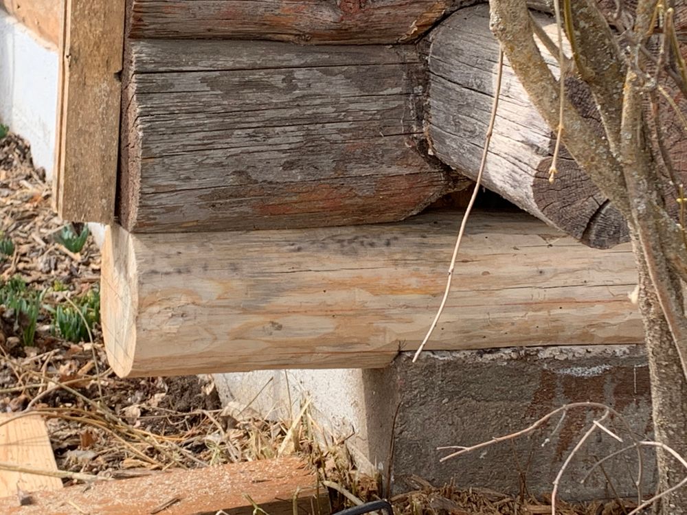 All Photos for Wild West Log home specialists in Corvallis, MT