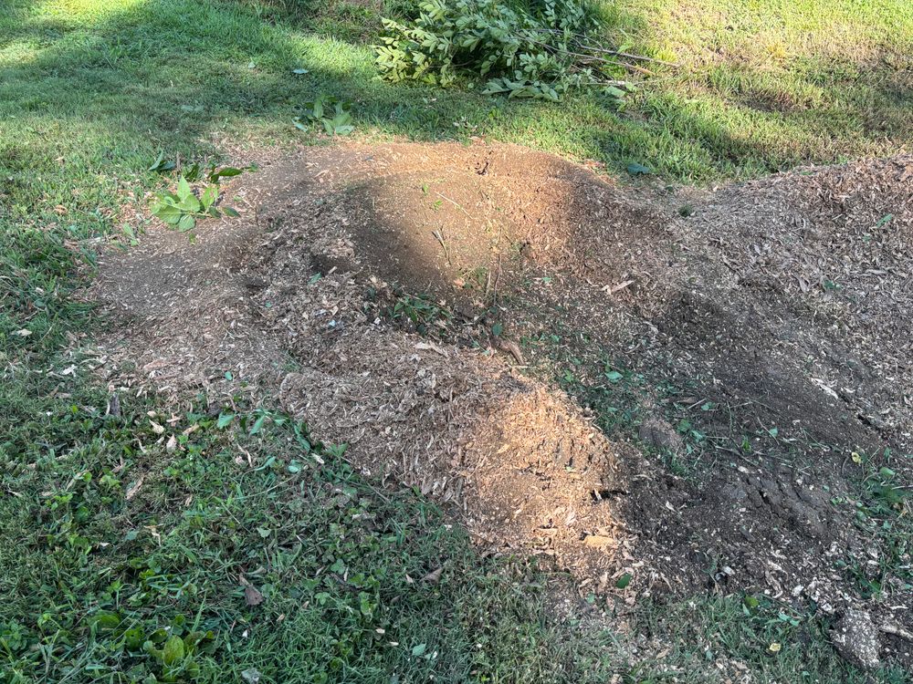 All Photos for Conrad's Stump Removal in Columbus, IN