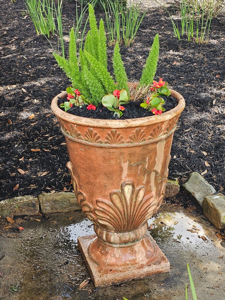 Landscaping for Bruno's Professional Lawn's & Landscape in Beaumont, TX