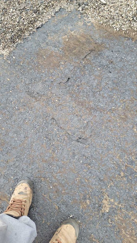 All Photos for Triumph Inc - Repair & Maintenance in Scarborough, ON