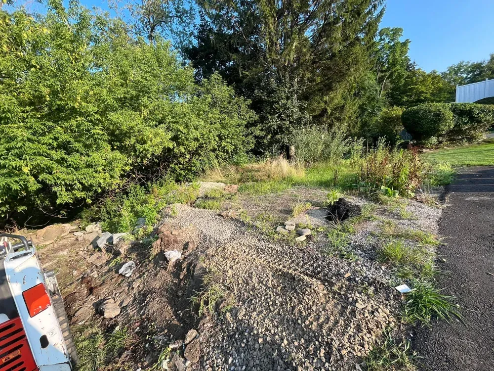 All Photos for Licensed to Cut Tree Service in Athens, PA