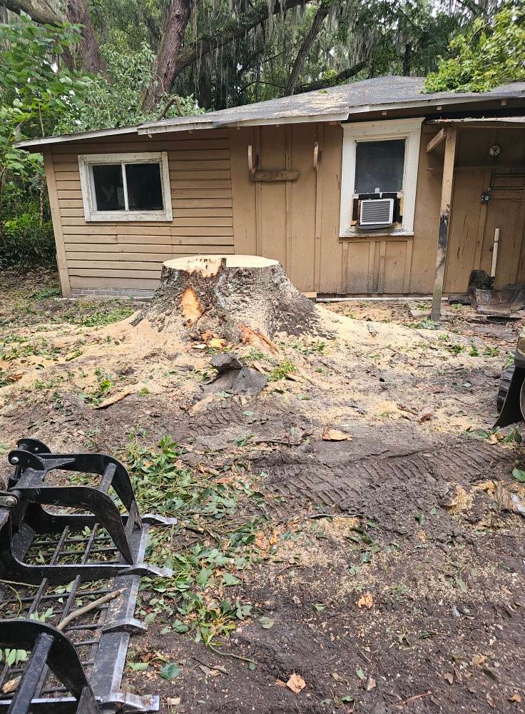 All Photos for Stumps done right LLC in Middleburg, FL