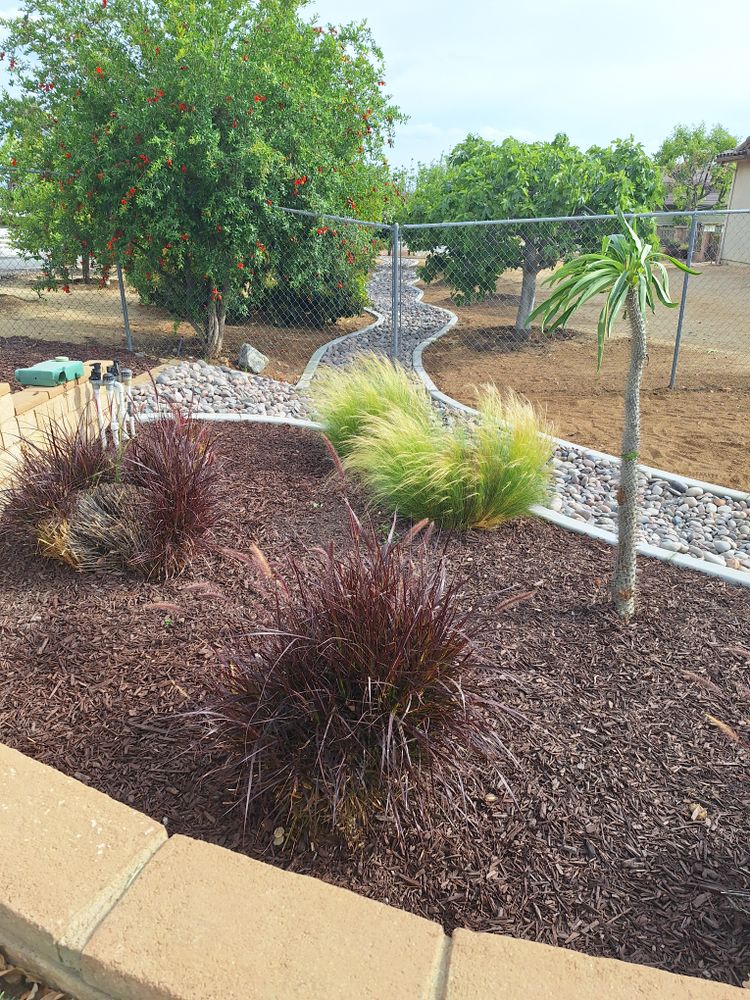 All Photos for Best Lawncare in Colton, CA