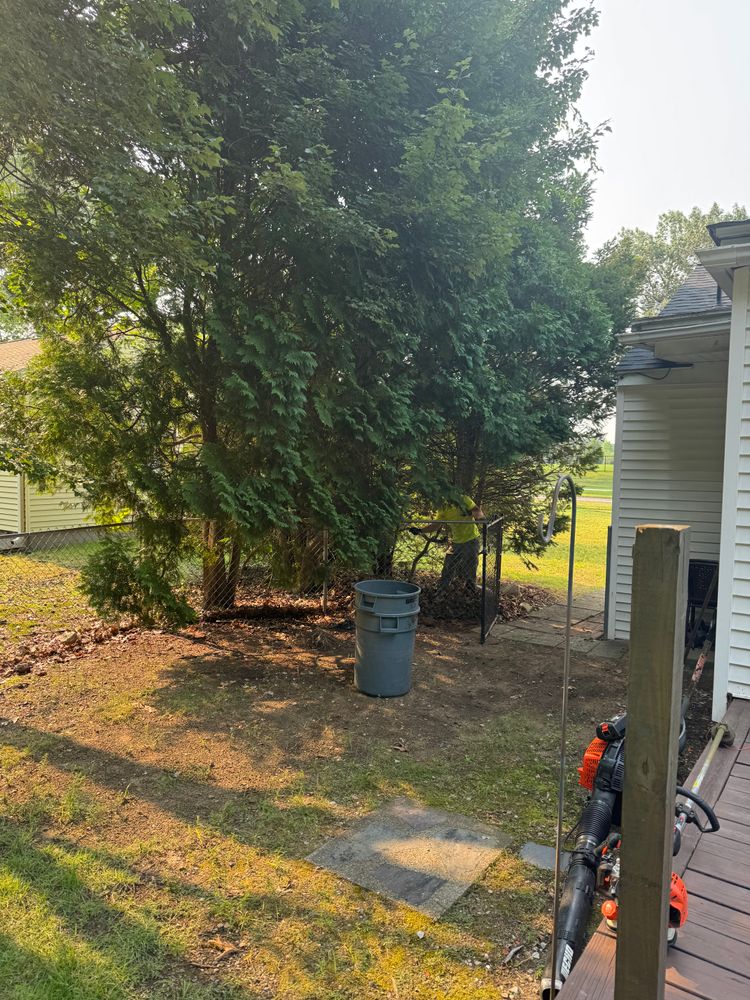 All Photos for Adams Landscaping in Springfield, MA