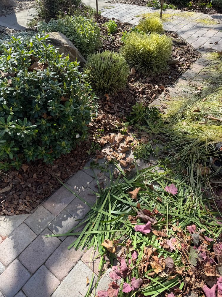 All Photos for CBA Landscaping in Hayward, CA