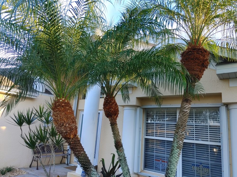 All Photos for Epic Vine Design in Melbourne, FL