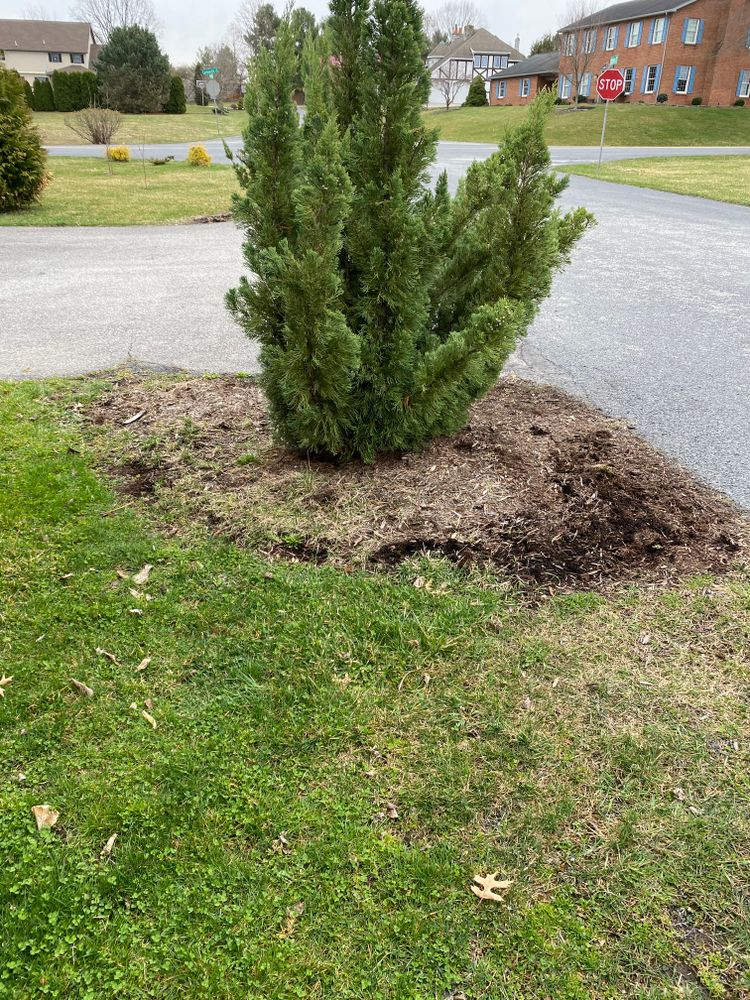 All Photos for Backyard Acres Lawncare LLC in Chambersburg, PA