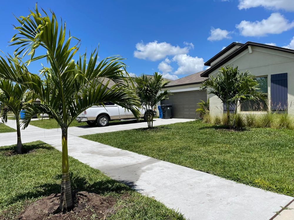 Landscaping for Plant World LLC in Cape Coral, FL