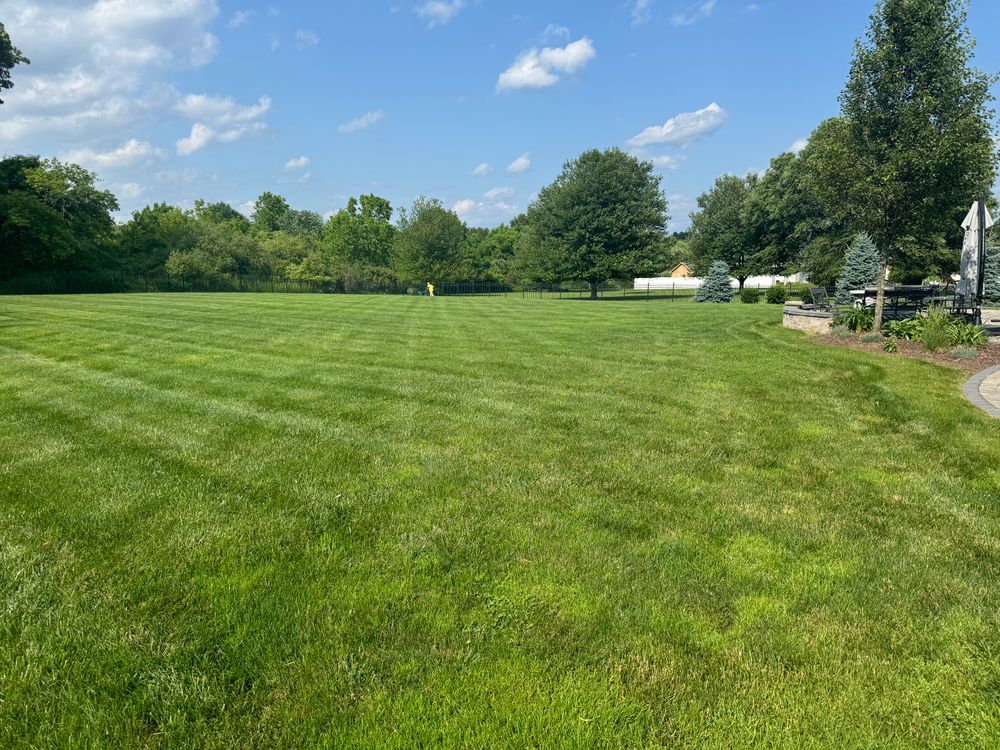 All Photos for Adams Landscaping in Springfield, MA