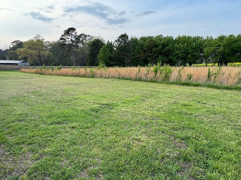 All Photos for Deeply Rooted Lawns – Hydroseeding & Sod Installation Services in Winder, GA