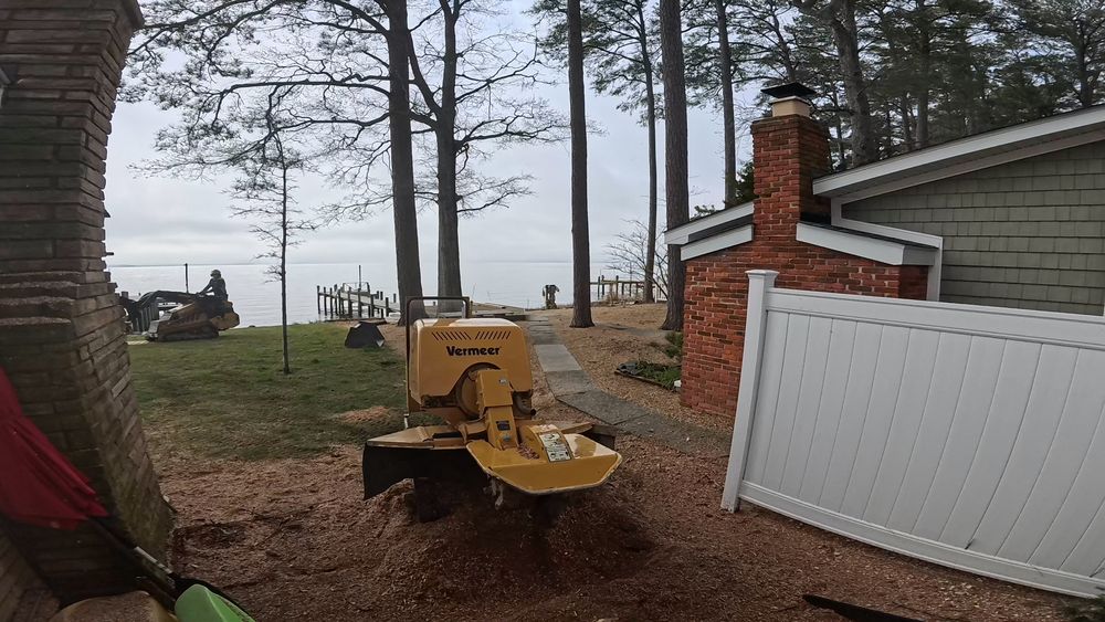 Our stump grinding service efficiently removes unsightly tree stumps from your property, resulting in a clean and level surface. Say goodbye to tripping hazards and hello to a beautifully landscaped yard! for Empire Tree Services in Mechanicsville, MD