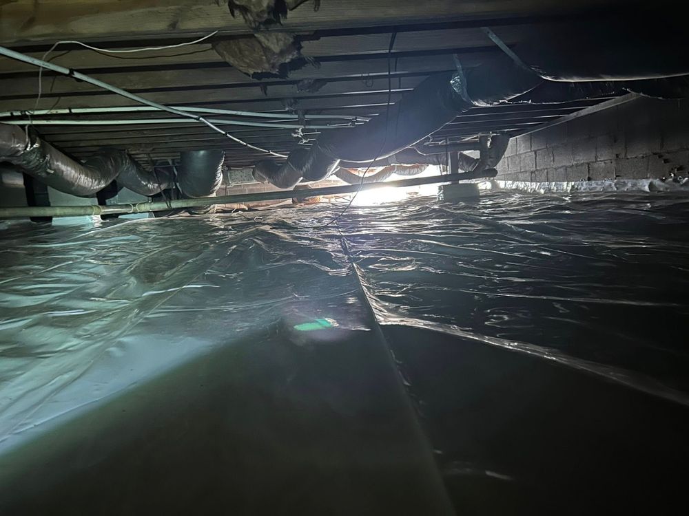 All Photos for Winecoff Pest Control in Salisbury, NC