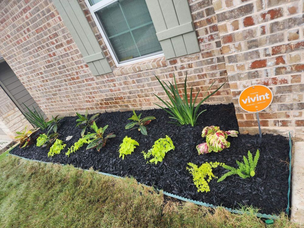 Landscaping for Pina Landscaping in Austin, TX