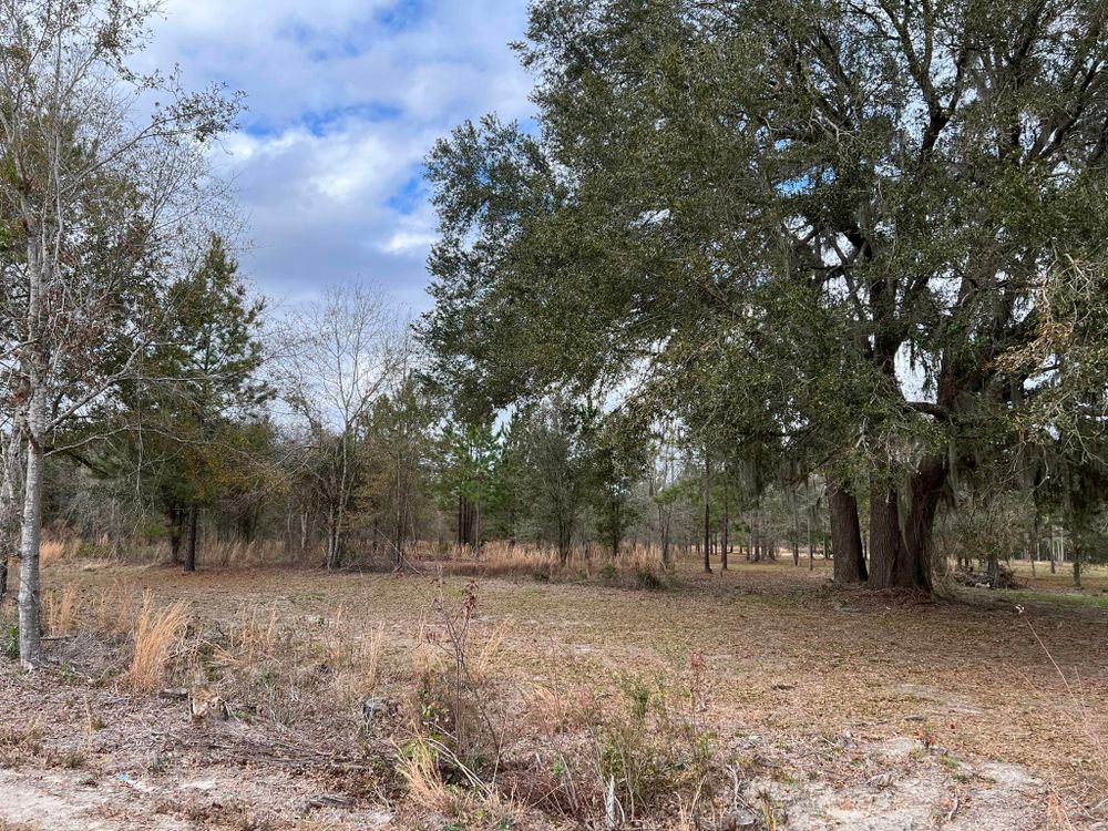 Land Clearing And Clean Up for Southeast Aquatic Land Services LLC  in Waycross, GA