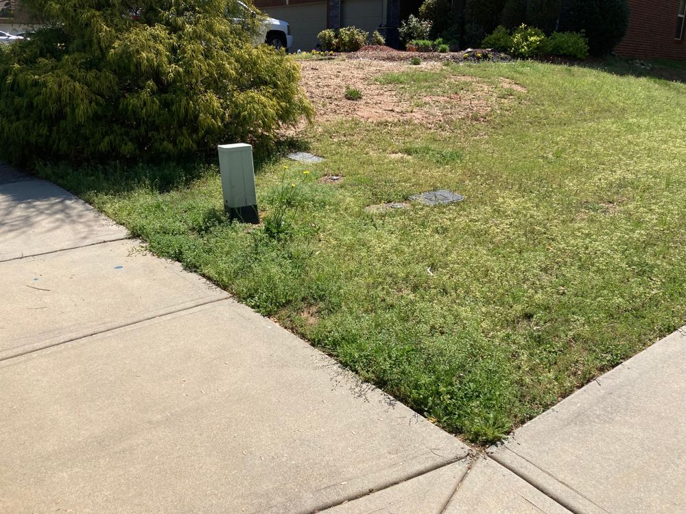 All Photos for Aries Lawnscapes in Atlanta, GA