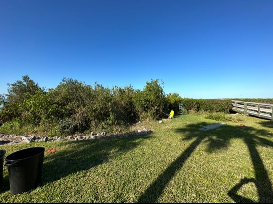 All Photos for MX Trees LLC in Englewood, FL