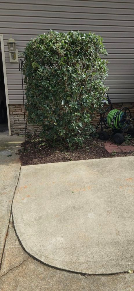 All Photos for Fresh Cut Yard & Lawn Care LLC in Forsyth, GA