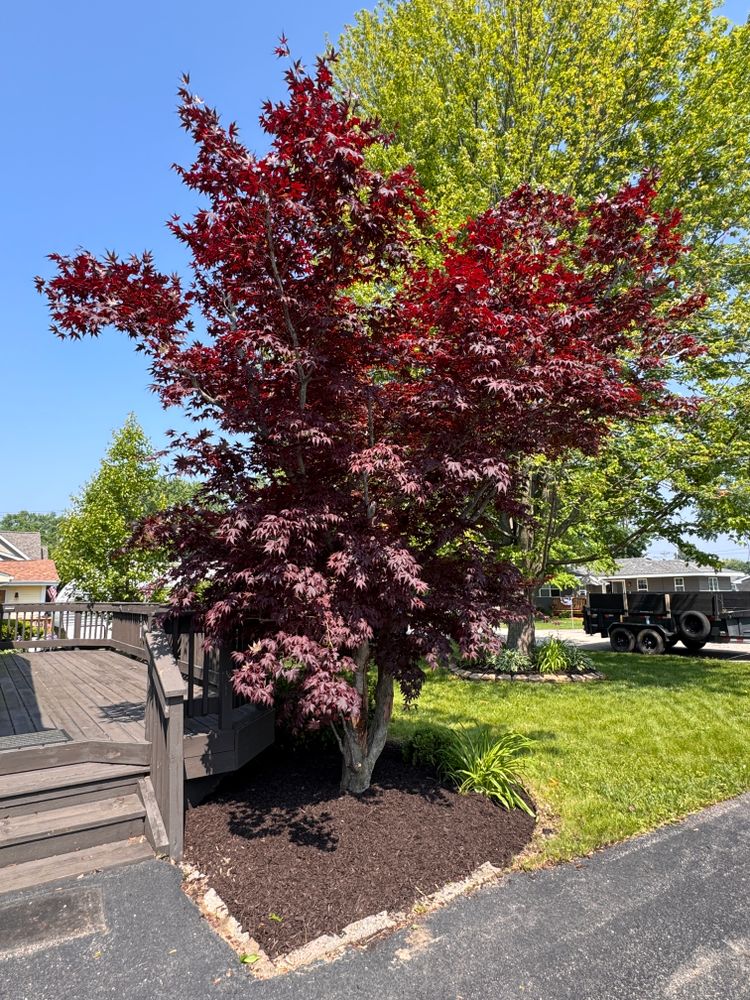 All Photos for H&L Lawn Care LLC in Twin Lakes, WI