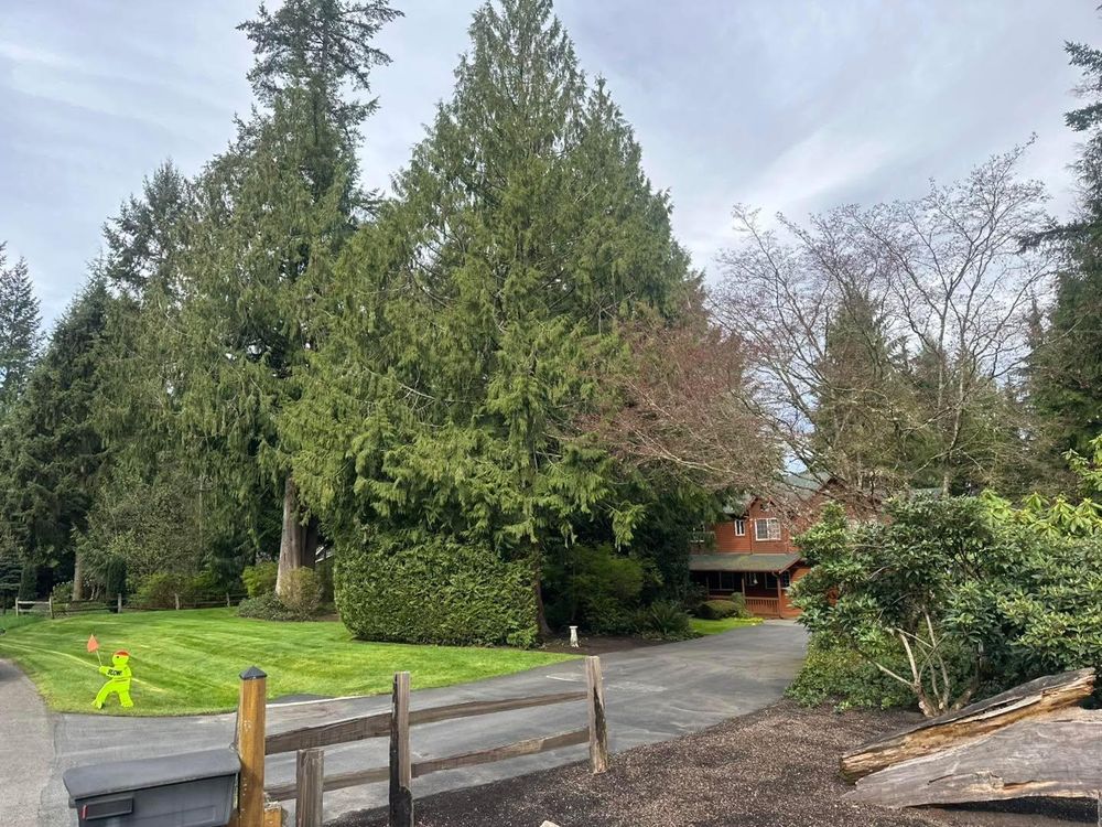 All Photos for SAW Enterprises  in Arlington, WA