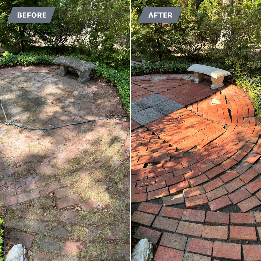 All Photos for LeafTide Solutions in Richmond, VA