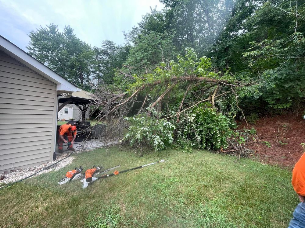 All Photos for Lucky’s Tree Removal and Landscape Services in Knoxville, TN