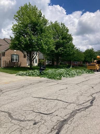 All Photos for Village Tree Service  in Whitestown, IN