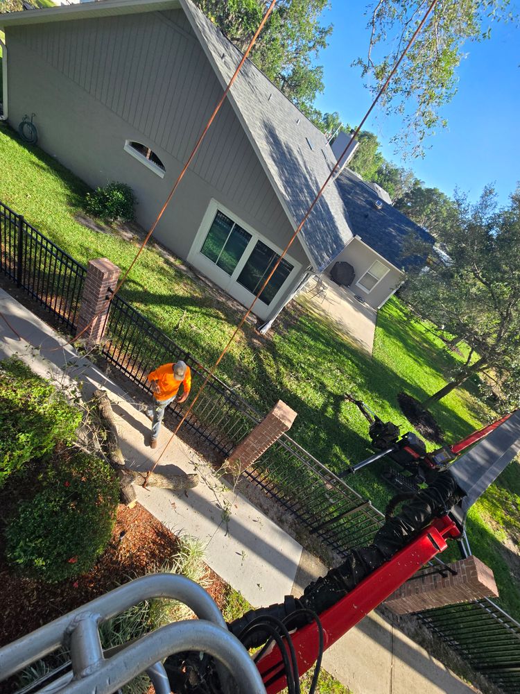 All Photos for Near Me Tree Service, Inc. in DeLand, FL