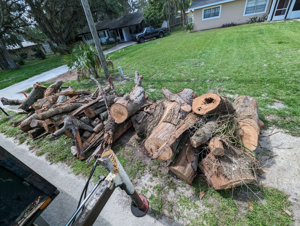 All Photos for Regal Tree Service and Stump Grinding in Wauchula, FL