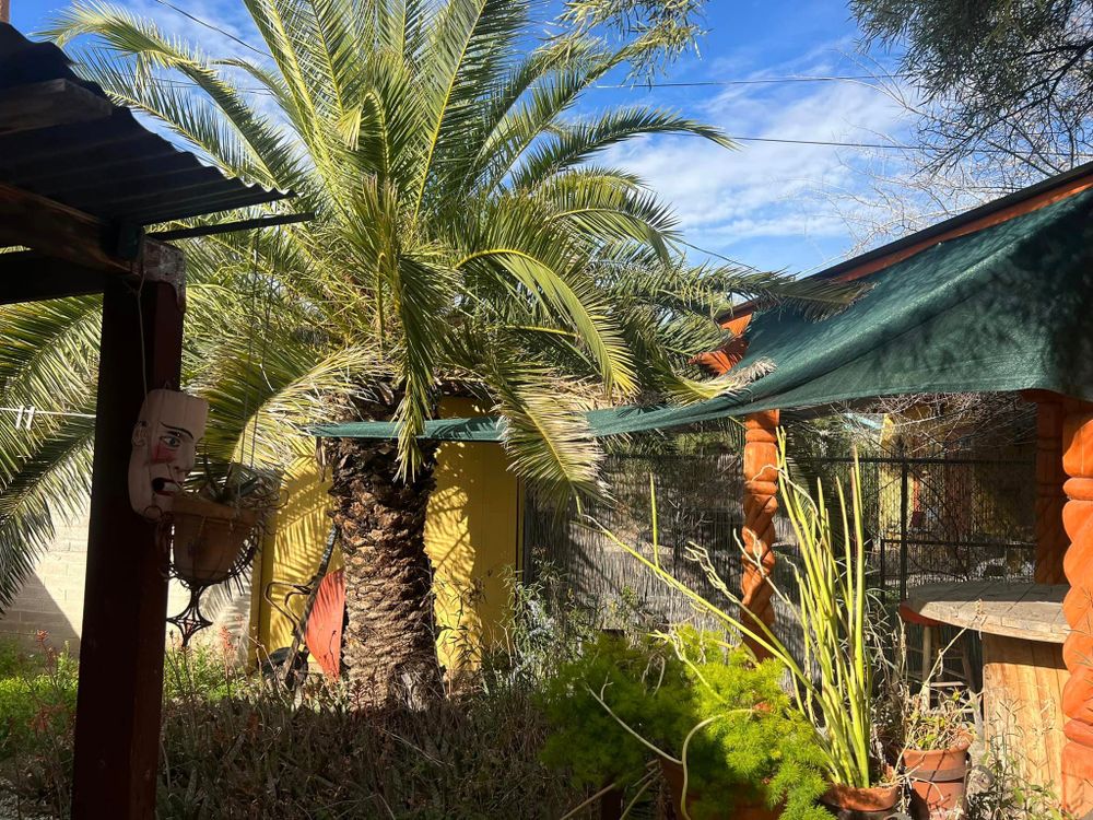 All Photos for Sammy’s Yard Maintenance And Irrigation Repairs in Oracle, AZ