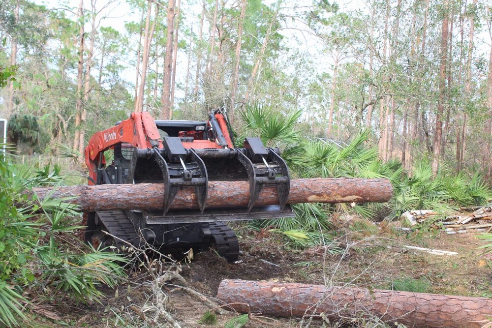 Tree Removal for American Tree Masters in Alvin, TX
