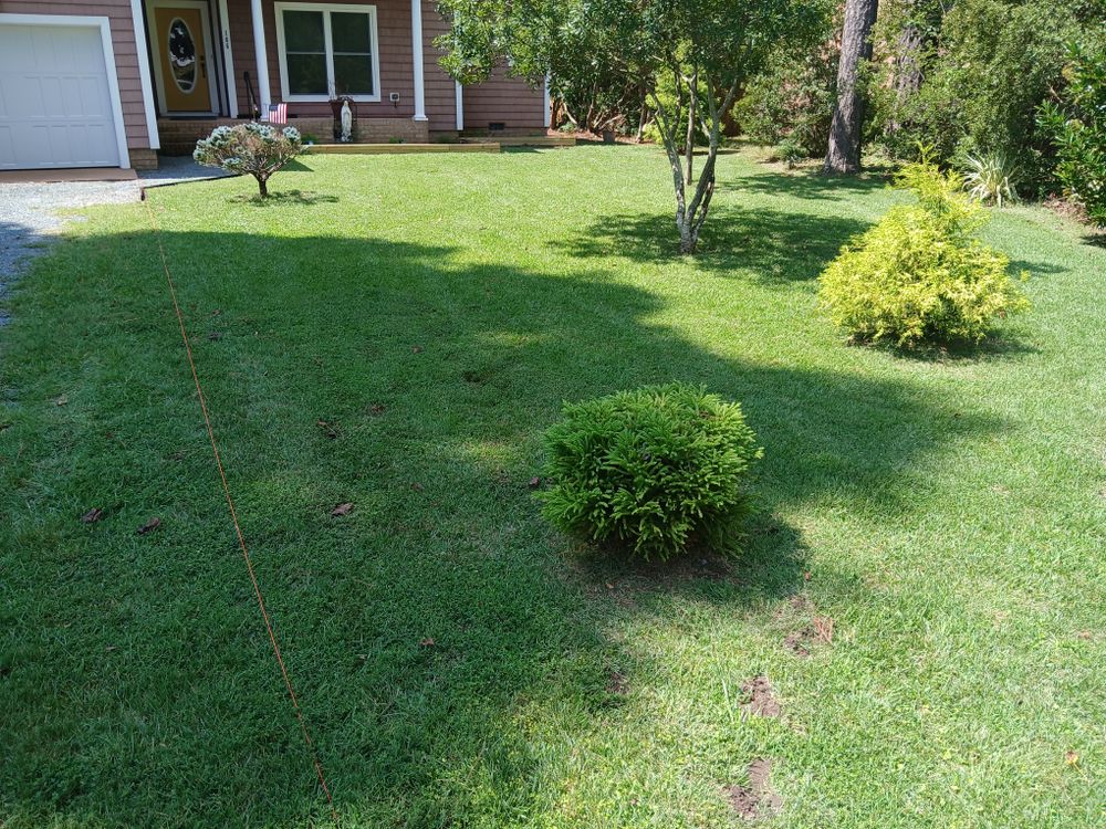 All Photos for Isaias Velasquez Landscaping and Services in Williamsburg, VA