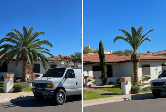 Our Palm Tree Trimming service is designed to keep your trees healthy and looking great all year round. We specialize in pruning, shaping, and tree care for residential properties. for Bobbys Palm and Tree Service LLC in Surprise, AZ