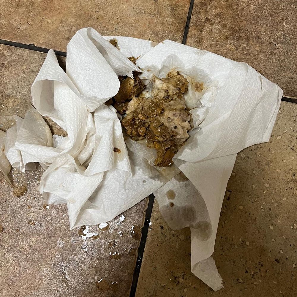 Water Heater & Tankless Water Heater Installation - Repair for Dutton Plumbing, Inc. in Indianapolis, IN