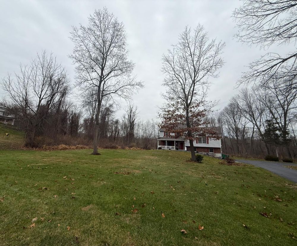 All Photos for Ardisi Property Maintenance LLC in Poughkeepsie, NY 